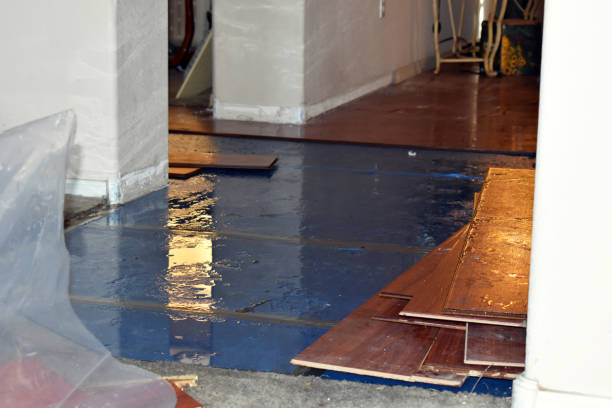 Professional Burst Pipe Cleanup technician working in Cotton Center, TX